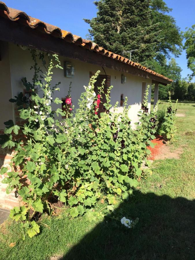 Location Gite 4 Personnes Mazeres - La Petite Maison Экстерьер фото